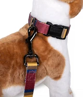 Pendleton Zion National Park Adventure Adjustable Dog Collar