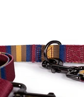 Pendleton Zion National Park Adventure Dog Leash