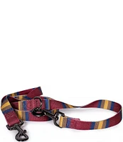 Pendleton Zion National Park Adventure Dog Leash