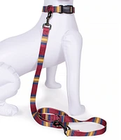 Pendleton Zion National Park Adventure Dog Leash