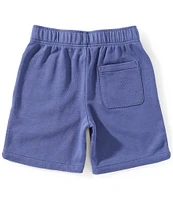 Polo Ralph Lauren Big Boys 8-20 Logo-Appliqued French Terry Shorts