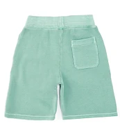 Polo Ralph Lauren Big Boys 8-20 Drawstring French Terry Shorts