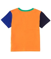 Polo Ralph Lauren Big Boys 8-20 Short Sleeve Color Block Jersey T-Shirt