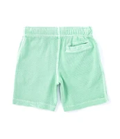 Polo Ralph Lauren Little Boys 2T-7 Logo Spa Terry Shorts