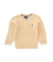 Polo Ralph Lauren Little Boys 2T-7 Long Sleeve Cable Knit Sweater