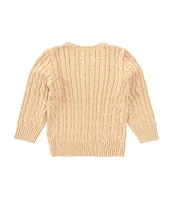 Polo Ralph Lauren Little Boys 2T-7 Long Sleeve Cable Knit Sweater