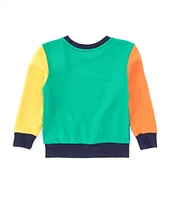 Polo Ralph Lauren Little Boys 2T-7 Long Sleeve Color-Blocked Double-Knit Sweatshirt