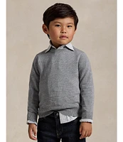 Polo Ralph Lauren Little Boys 2T-7 Long Sleeve Wool Sweater