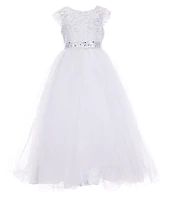 Poppies and Roses Big Girls Cap Sleeve Jeweled Waist Lace-To-Tulle Dress