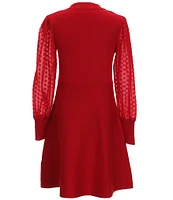 Poppies and Roses Big Girls 7-16 Long Sleeve Fit & Flare Dress