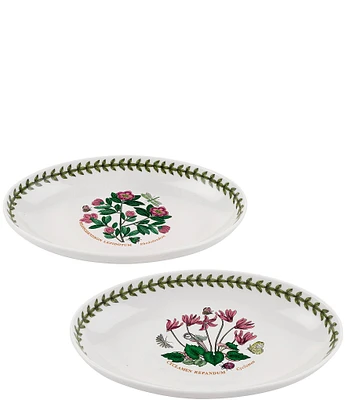 Portmeirion Botanic Garden Set of 2 Oval Dishes