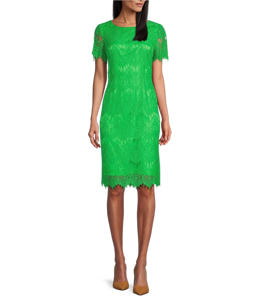 Preston & York Felicia Lace Short Sleeve Crew Neck Knee Length Sheath Dress