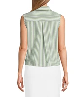 Preston & York Monday Woven Stripe Button Placket Collar Sleeveless Blouse
