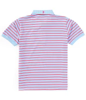 Psycho Bunny Big Boys 7-20 Short Sleeve Willis Stripe Jersey Sport Polo Shirt