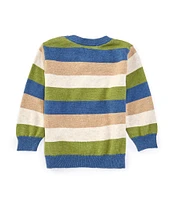 Purebaby® Baby Boys Newborn-24 Months Long Sleeve Striped Wool-Blend Sweater