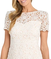 R & M Richards Short Sleeve Crew Neck Fit and Flare Lace Dress