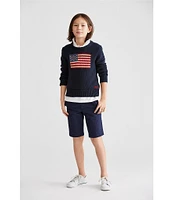 Polo Ralph Lauren Big Boys 8-20 American Flag Sweater