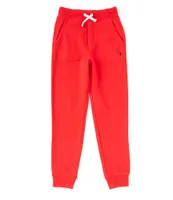 Polo Ralph Lauren Big Boys 8-20 Fleece Jogger Pants