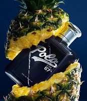 Ralph Lauren Polo 67 Eau de Parfum 2-Piece Gift Set