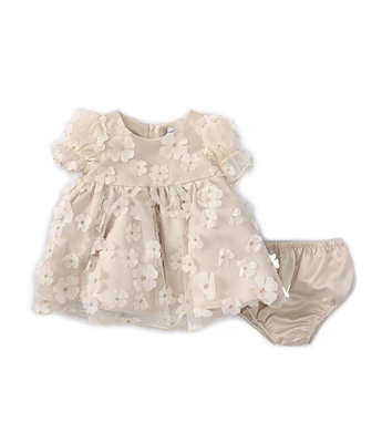 Rare Editions Baby Girls 12-24 Months Ruffled Sleeve Three-Dimensional Flower-Appliqued Fit & Flare Dress