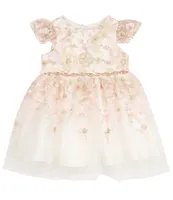 Rare Editions Baby Girls 3-24 Months Floral Embroidered Flutter Sleeve Mesh Dress