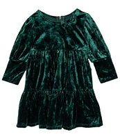 Rare Editions Baby Girls 3-24 Months Long Sleeve Textured-Velvet Fit & Flare Dress