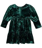 Rare Editions Baby Girls 3-24 Months Long Sleeve Textured-Velvet Fit & Flare Dress