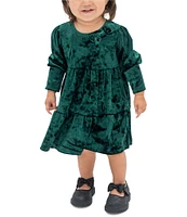 Rare Editions Baby Girls 3-24 Months Long Sleeve Textured-Velvet Fit & Flare Dress