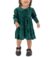 Rare Editions Baby Girls 3-24 Months Long Sleeve Textured-Velvet Fit & Flare Dress