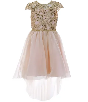 Rare Editions Big Girls 7-16 Cap Sleeve Sequin-Embellished /Sheer-Overlay Skirted Fit-And-Flare Dress