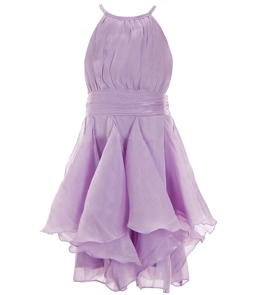 Rare Editions Big Girls 7-16 Halter-Neck Bodice/Cascading-Skirted Organza Fit & Flare Dress