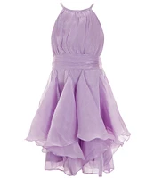 Rare Editions Big Girls 7-16 Halter-Neck Bodice/Cascading-Skirted Organza Fit & Flare Dress