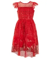 Rare Editions Big Girls 7-16 Sequin-Illusion Yoke/Sequin Mesh/Soutache High-Low-Hem Dress