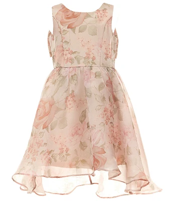 Rare Editions Big Girls Sleeveless Floral Organza Fit-And-Flare Dress