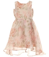 Rare Editions Big Girls Sleeveless Floral Organza Fit-And-Flare Dress