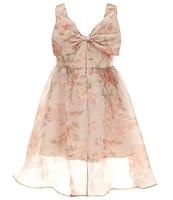 Rare Editions Big Girls Sleeveless Floral Organza Fit-And-Flare Dress