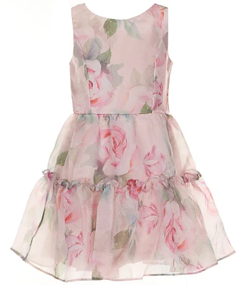 Rare Editions Big Girls 7-16 Sleeveless Floral Printed Organza Fit-And-Flare Dress