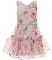 Rare Editions Big Girls 7-16 Sleeveless Floral Printed Organza Fit-And-Flare Dress