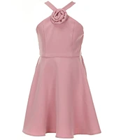 Rare Editions Big Girls 7-16 Sleeveless Rosette-Appliqued Mikado Fit-And-Flare Dress