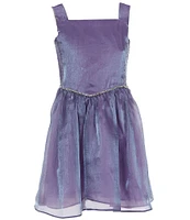 Rare Editions Big Girls 7-16 Sleeveless Shimmer Organza Fit & Flare Dress