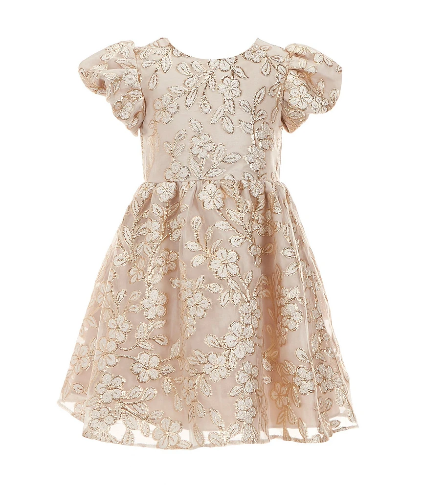 Rare Editions Little Girls 2T-4T Puffed Sleeve Floral Burnout Lurex/Organza Fit & Flare Dress