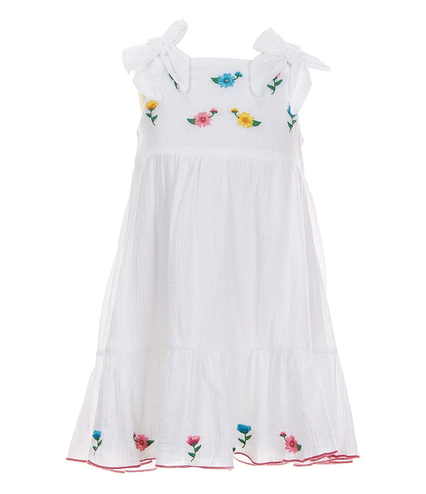 Rare Editions Little Girls 2T-6X Floral Embroidered Gauze Fit & Flare Dress