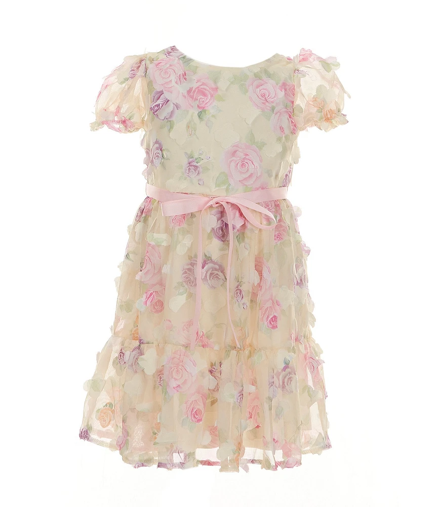 Rare Editions Little Girls 2T-6X Floral-Printed/Three-Dimensional-Flower-Appliqued Fit-And-Flare Dress
