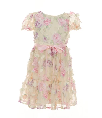 Rare Editions Little Girls 2T-6X Floral-Printed/Three-Dimensional-Flower-Appliqued Fit-And-Flare Dress