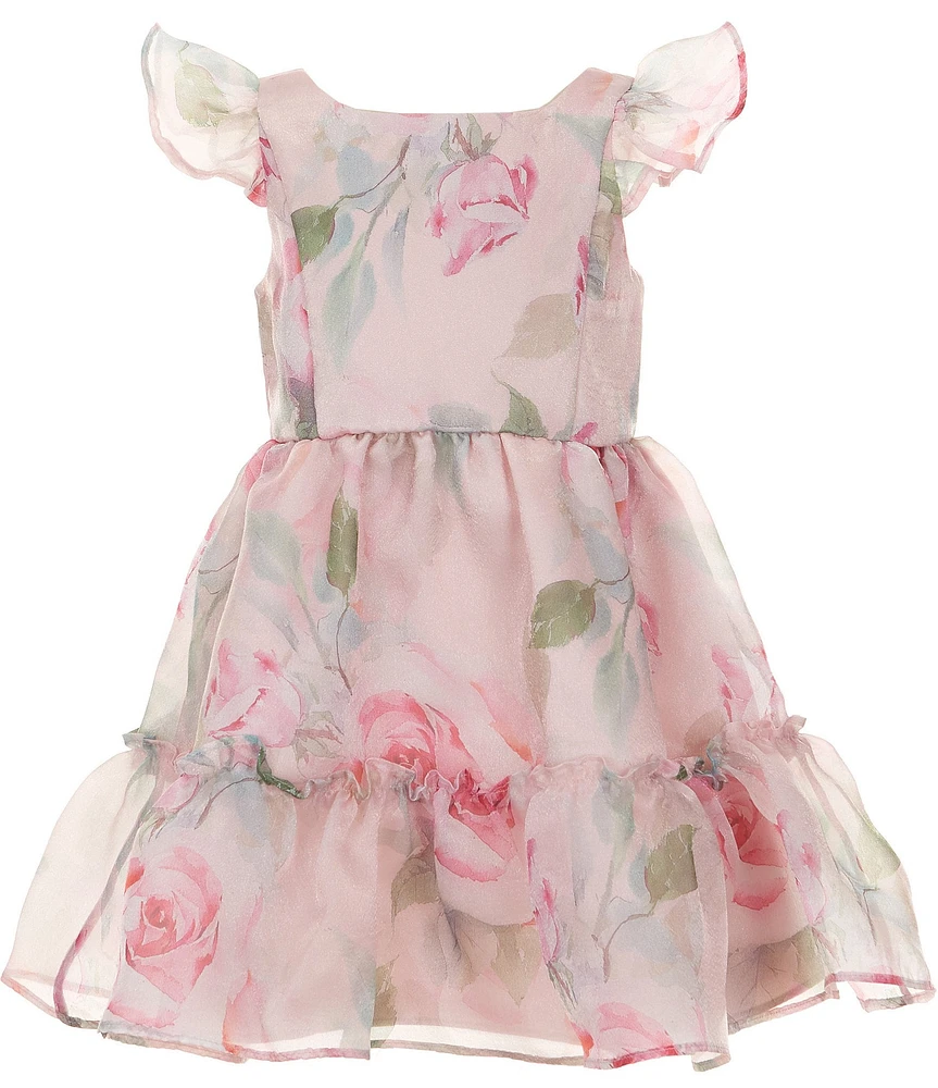Rare Editions Little Girls 2T-6X Flutter-Sleeve Floral-Printed Organza Fit-And-Flare Dress