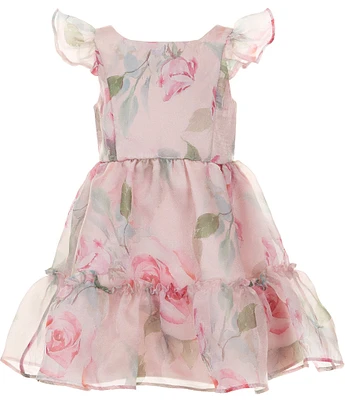 Rare Editions Little Girls 2T-6X Flutter-Sleeve Floral-Printed Organza Fit-And-Flare Dress