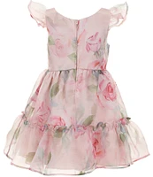 Rare Editions Little Girls 2T-6X Flutter-Sleeve Floral-Printed Organza Fit-And-Flare Dress