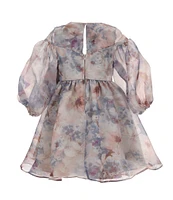 Rare Editions Little Girls 2T-6X Long Sleeve Floral Printed Organza Fit & Flare Dress