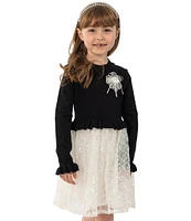 Rare Editions Little Girls 2T-6X Long Sleeve Sweater-Knit Flower-Appliqued Bodice/Embroidered Mesh-Overlay Skirted Popover Dress