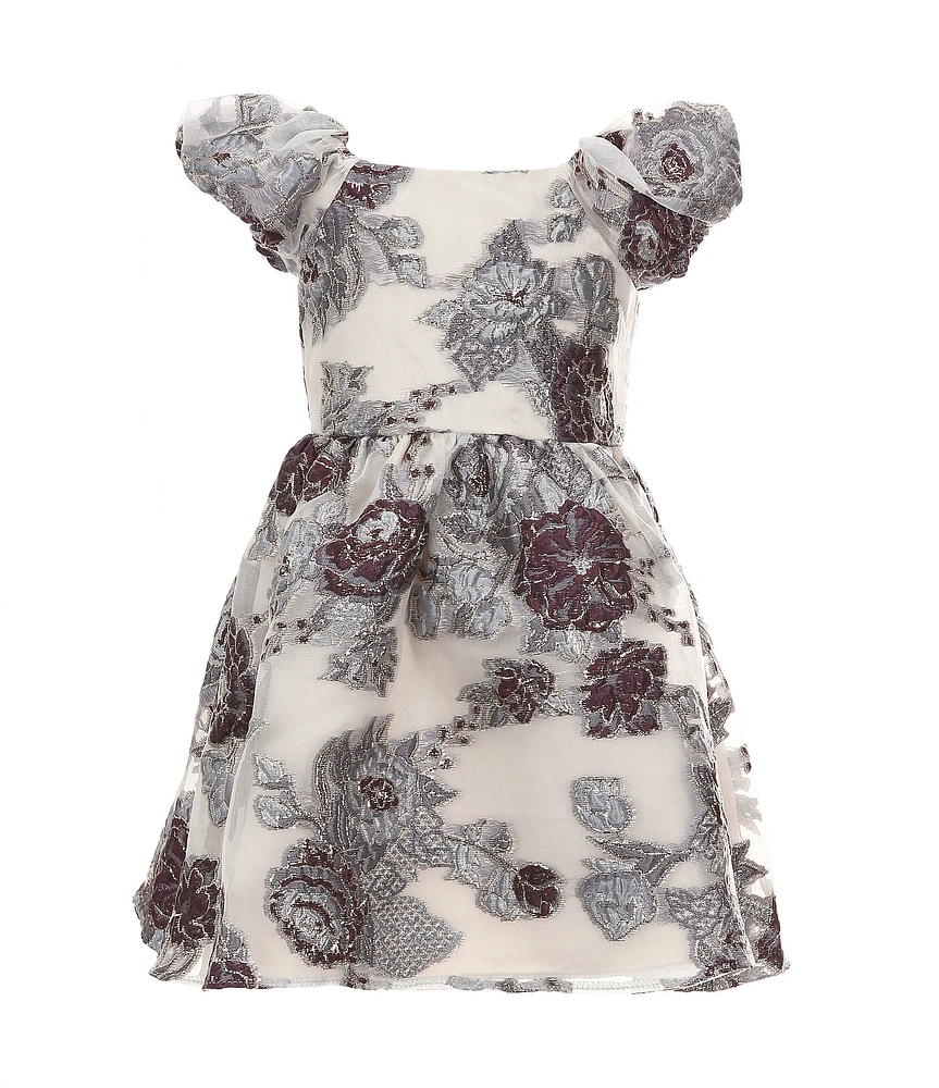 Rare Editions Little Girls 2T-6X Puffed-Sleeve Floral-Burnout Organza Fit-And-Flare Dress